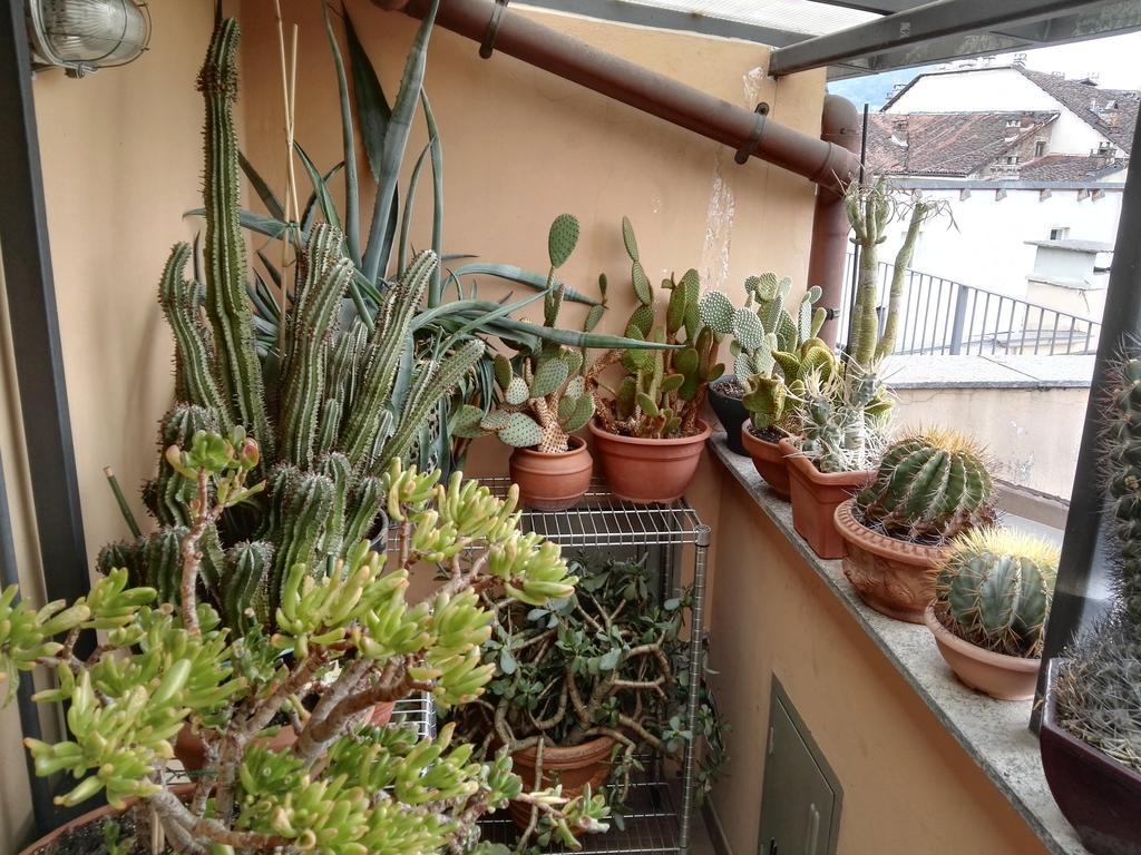 A Casa Di Gio Bed & Breakfast Turin Exterior photo